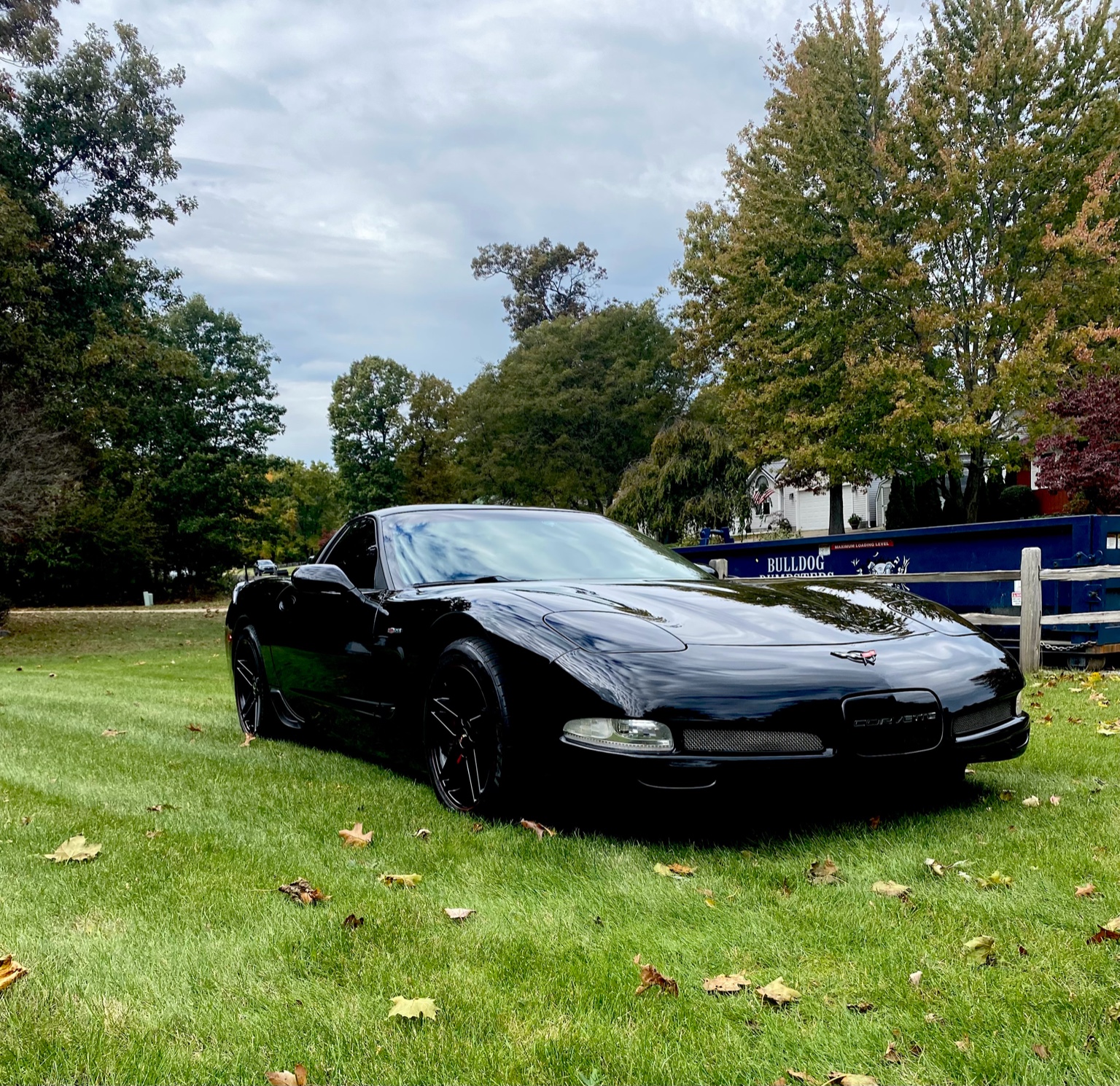 C5 Z06 Mona Lisa