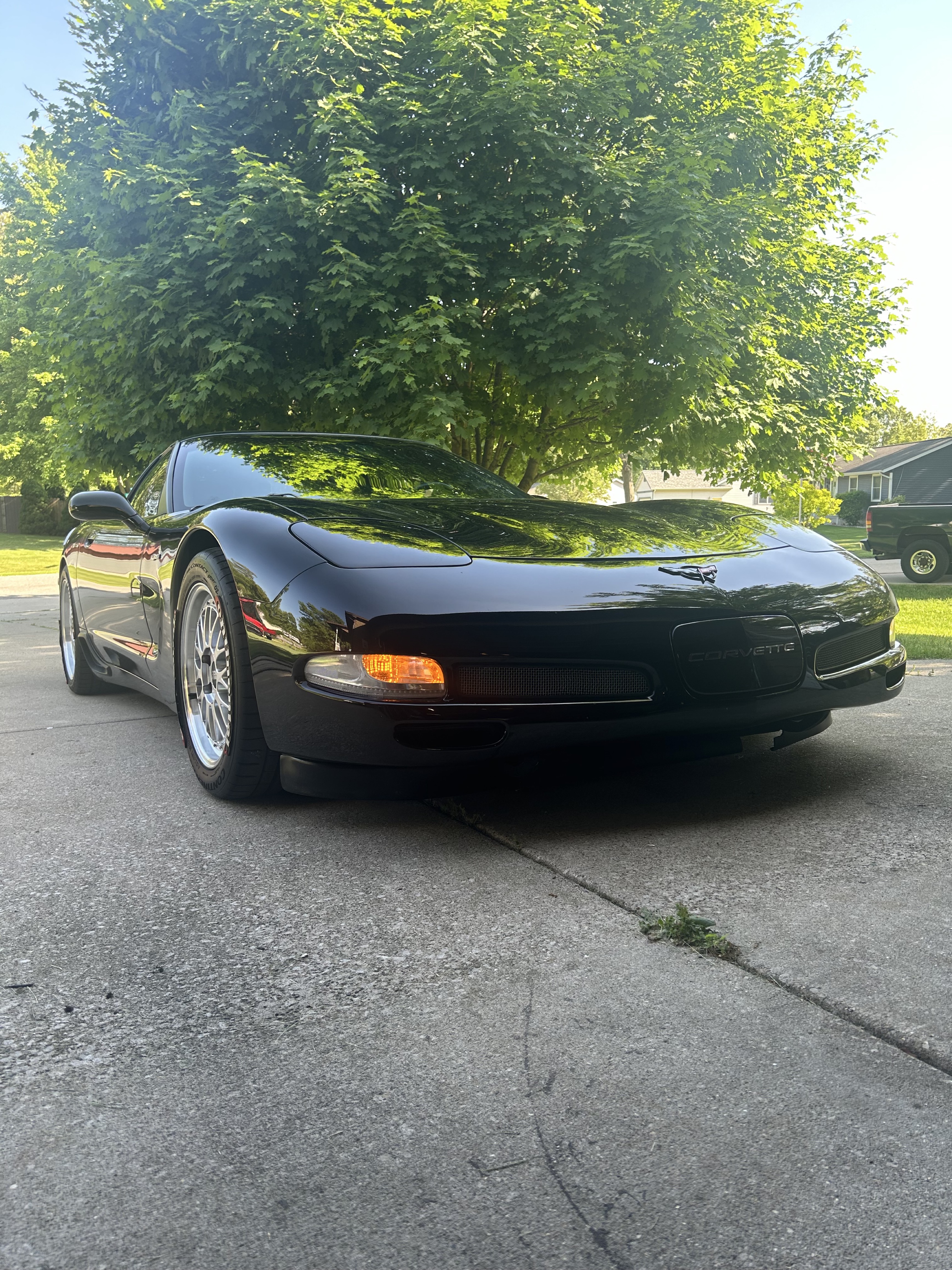 C5 Z06 Mona Lisa